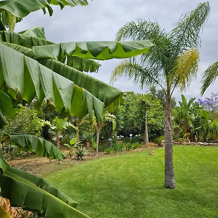 Petalas By Atlantichotels Lejlighed 3*